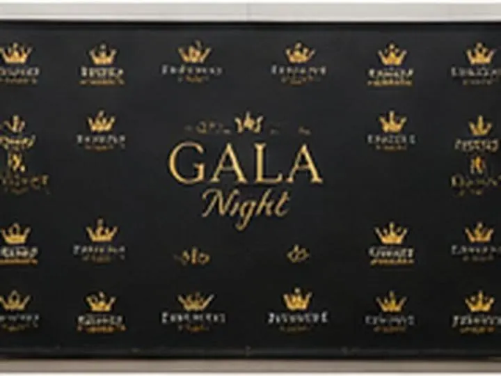 Gala / awards backdrop &mdash; Step and Repeat Backdrops design example